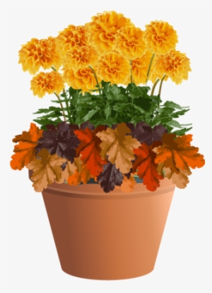 Autumn Planting Idea - Marigold In A Planter Transparent