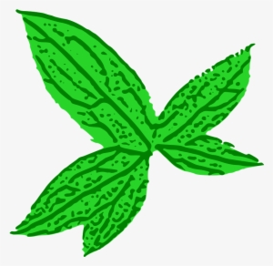 Medium Image - Green Leaf Clip Art