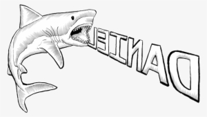 Great White Shark Drawing - Great White Shark