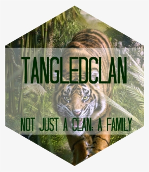 Jungle Tiger Roar Darwing Art Hd Animal Wallpapers - Graphic Design