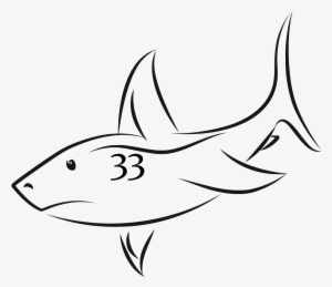 Shark Fin Drawing