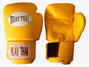 Best Muay Thai Gloves - Thailand Muay Thai Gloves