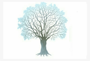 Winter Tree Clipart Png
