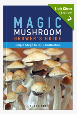 Magic Mushroom Grower's Guide Simple Steps To Bulk