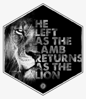 0025 Lion Coming Soon V2 (produse Web) - He Came As A Lamb But Will Return As A Lion