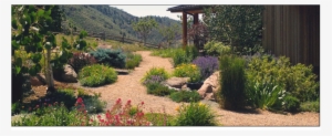 Xeriscaping Gardening - Xeriscaping