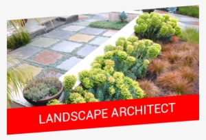 Offer Banner6 - Landscape Design