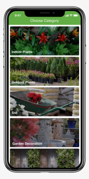 Download App Now - Canna Lily