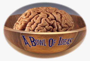 A Bowl Of Ideas - Human Brain With Alzheimer's Disease
