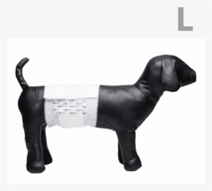 36ct Paw Inspired Ultra Protection Disposable Male