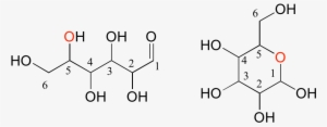Disaccharides Are Two Monosaccharides Linked Together - Manganese Gluconate