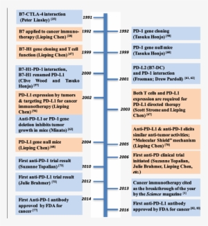 Timeline For Major Events Leading To The Development - Pd 1 Timeline