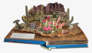 Sonoran Desert Smaller