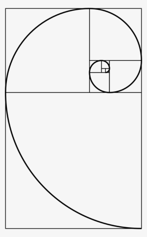 Experience And Education - Golden Ratio Transparent Background