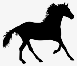 Silhouette Of A Horse - Arklis Png