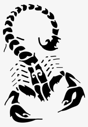 Scorpio Png - Scorpion Tattoo