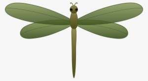 dragonfly clipart watercolor - green dragonfly clipart