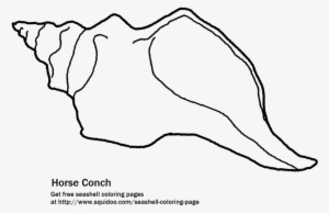The Florida Horse Conch Printable Coloring Page - Seashell