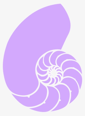 Purple Seashell Clipart - Nautilus Shell Clipart