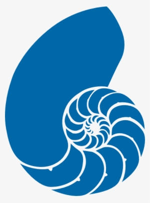 Green And Blue Nautilus Shell Clip Art At Clker - Nautilus Shell Clip Art