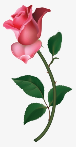 Pink Rose Clipart