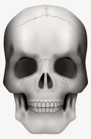 Transparent Transparent Background Skull Png