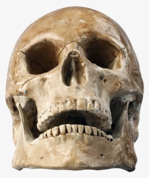 Skull Png Laugh Skeleton - Png Skull