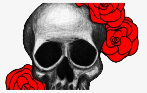 Skulls Julie Erin Designs Page - Skulls And Roses Transparent
