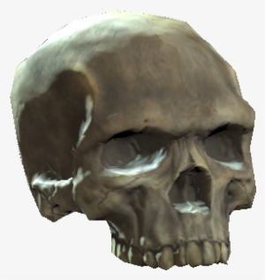 Upper Skull - Skull