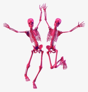 Pink Skull Png Transparent - Skeleton