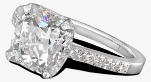 Ring Rosebud Solitaire Pave Diamods Platinum Steven - Pre-engagement Ring