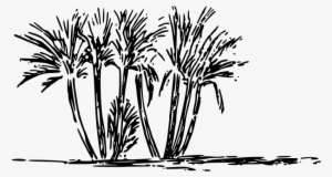 Tree Clump Clipart Icon Png - Transparent Clipart White And Black Grass