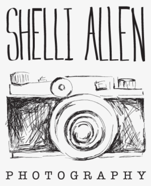 Shelli Allen Photography - Photographer