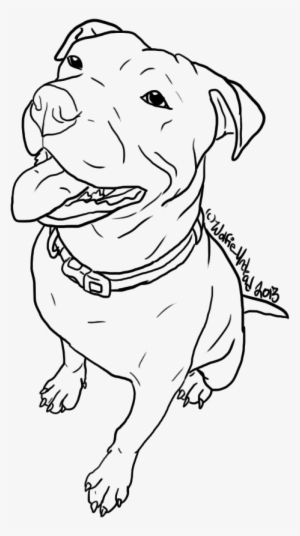 Free Pit Bull Line Art - Pitbull Drawing Png