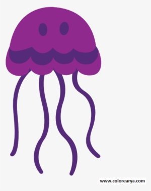 colorear medusa - medusa gif png