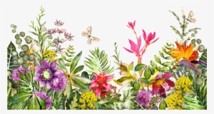 Outdoor Hermosas Flores Y Hierba Png Transparente - Floral Tapestry