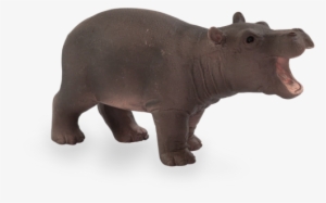 Hippo Baby - Mojo Hippo Baby