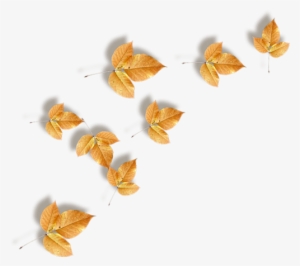 1 1esenni Lista - Autumn