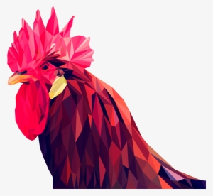 Rooster