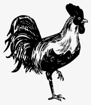 Rooster Clipart Vector Black - Rooster Stencil