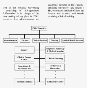 Organizational Chart Of Princess Diana Hospital - Imaging Center Organizational Chart