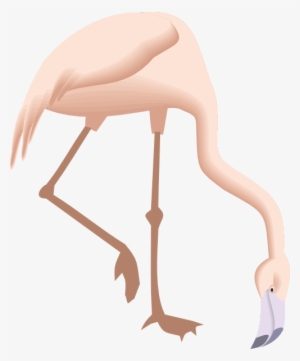 Flamingo Bending Down