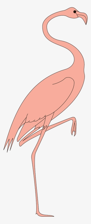 Fågel På Ett Ben