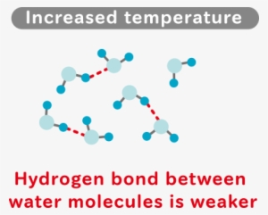 these absorption bands are influenced by hydrogen bonds - graphic design