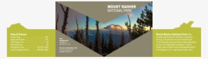 This Park Offers Plenty Of Activities Such As Hiking, - Mount Rainier