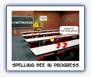 Kidz News Spelling Bee - News