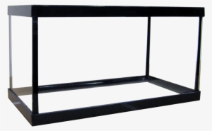 3 Place Betta Aquarium