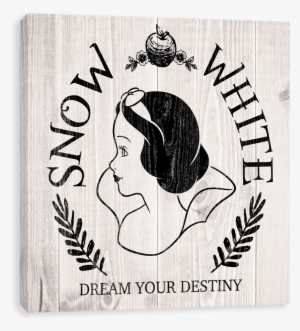 Dream Your Destiny