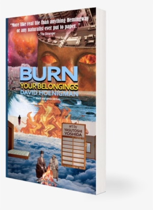 Burn Your Belongings - Burn Your Belongings By David F Hoenigman