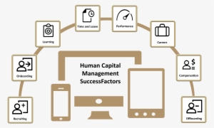 Human Capital Management - Responsive Web Design